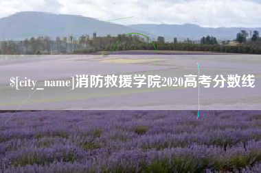 文昌消防救援学院2020高考分数线