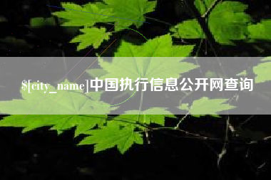 文昌中国执行信息公开网查询