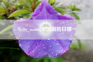文昌全国消防日哪一