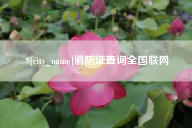 文昌消防证查询全国联网