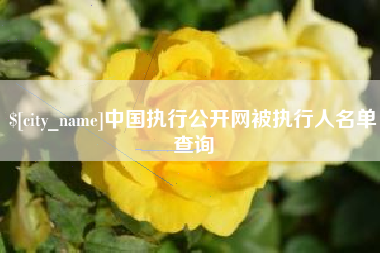 文昌中国执行公开网被执行人名单查询