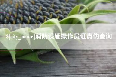 文昌消防设施操作员证真伪查询