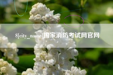 文昌国家消防考试网官网