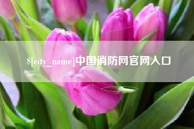 文昌中国消防网官网入口