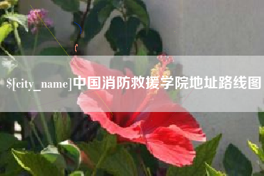 文昌中国消防救援学院地址路线图