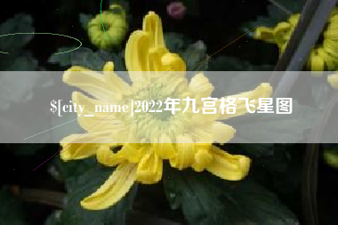 文昌2022年九宫格飞星图