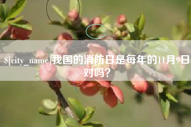 文昌我国的消防日是每年的11月9日对吗？