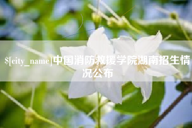 文昌中国消防救援学院湖南招生情况公布