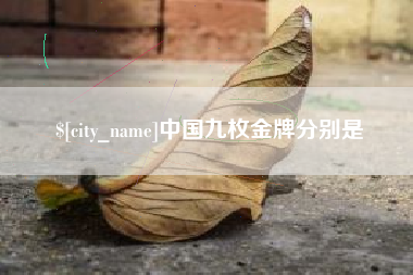 文昌中国九枚金牌分别是