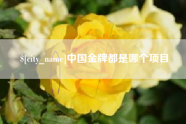 文昌中国金牌都是哪个项目