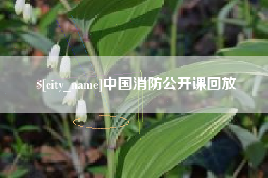 文昌中国消防公开课回放