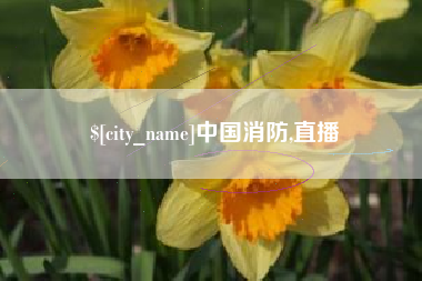 文昌中国消防,直播
