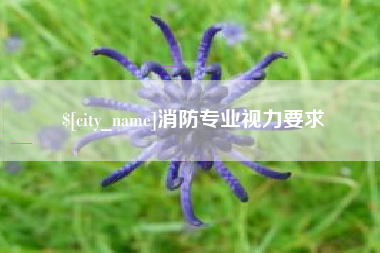 文昌消防专业视力要求
