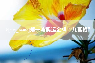 文昌第一波奥运金牌“九宫格”
