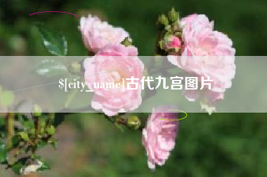 文昌古代九宫图片