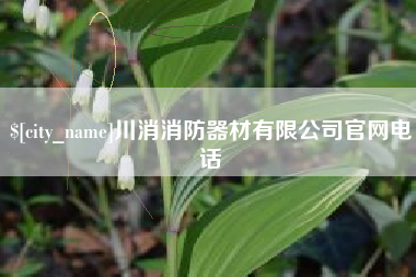 文昌川消消防器材有限公司官网电话
