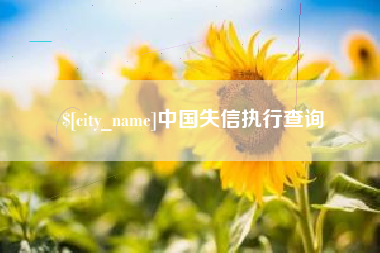 文昌中国失信执行查询