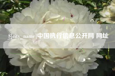 文昌中国执行信息公开网 网址