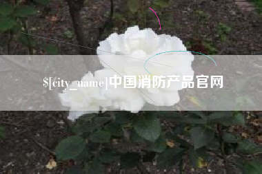 文昌中国消防产品官网