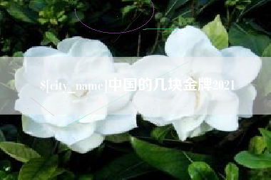 文昌中国的几块金牌2021