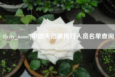 文昌中国失信被执行人员名单查询