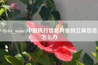 文昌中国执行信息网查到立案信息怎么办