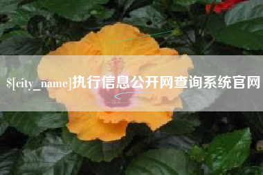 文昌执行信息公开网查询系统官网
