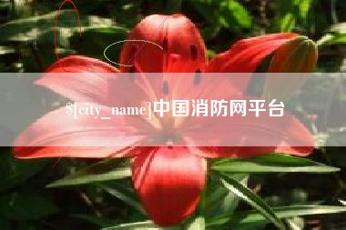 文昌中国消防网平台