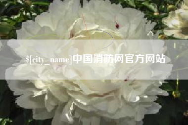 文昌中国消防网官方网站