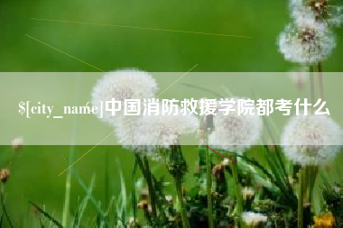 文昌中国消防救援学院都考什么