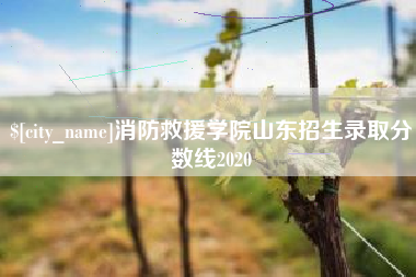 文昌消防救援学院山东招生录取分数线2020
