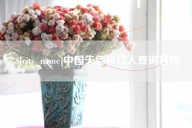 文昌中国失信执行人查询官网