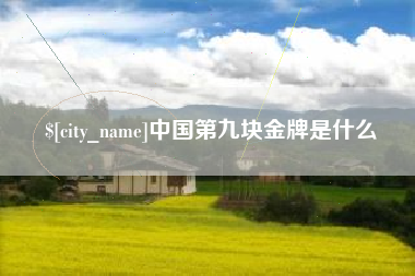 文昌中国第九块金牌是什么