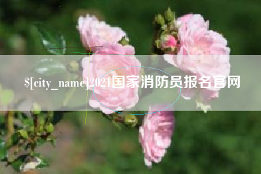 文昌2021国家消防员报名官网