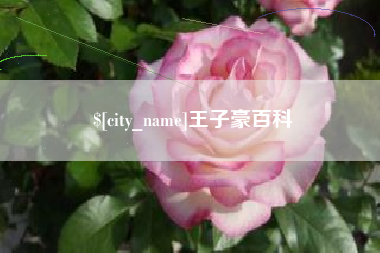 文昌王子豪百科