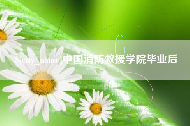 文昌中国消防救援学院毕业后