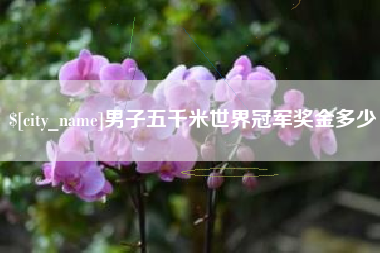 文昌男子五千米世界冠军奖金多少