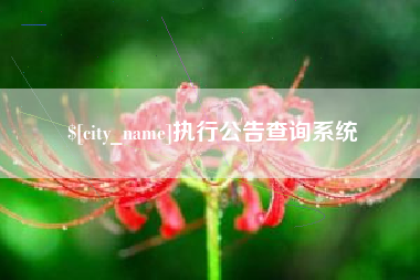 文昌执行公告查询系统