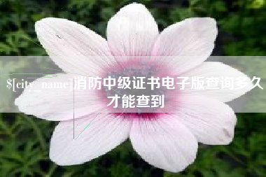 文昌消防中级证书电子版查询多久才能查到