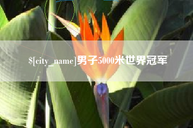文昌男子5000米世界冠军