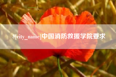 文昌中国消防救援学院要求