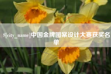 文昌中国金牌图案设计大赛获奖名单