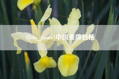 文昌中国金牌包括