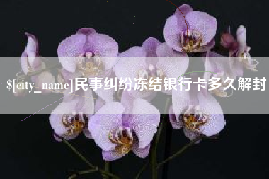 文昌民事纠纷冻结银行卡多久解封