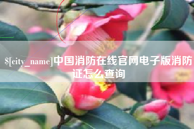 文昌中国消防在线官网电子版消防证怎么查询