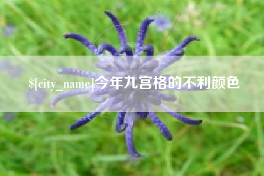 文昌今年九宫格的不利颜色