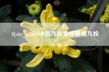 文昌中国九枚金牌是哪九枚