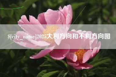 文昌2025大利方向和不利方向图