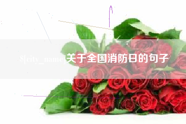 文昌关于全国消防日的句子