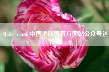 文昌中国消防网官方网站公众号达伦特